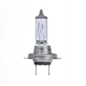 h7 halogen